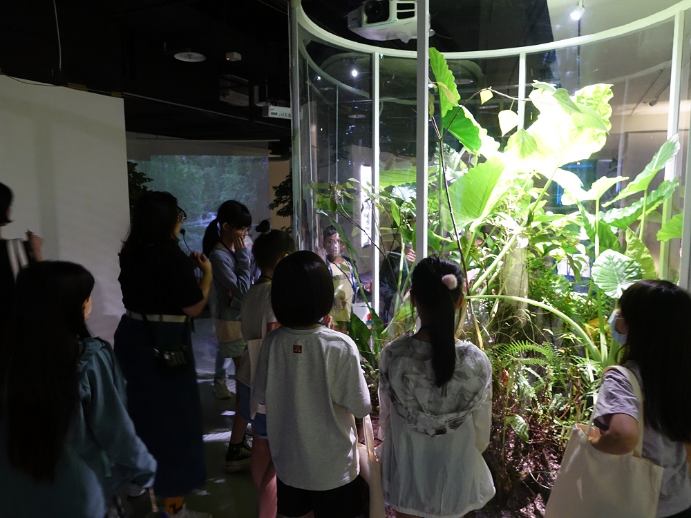 「2025山神獸策展營:來自森林的邀請」 小小策展人宗博館秀創意 - https://www.watchmedia01.com