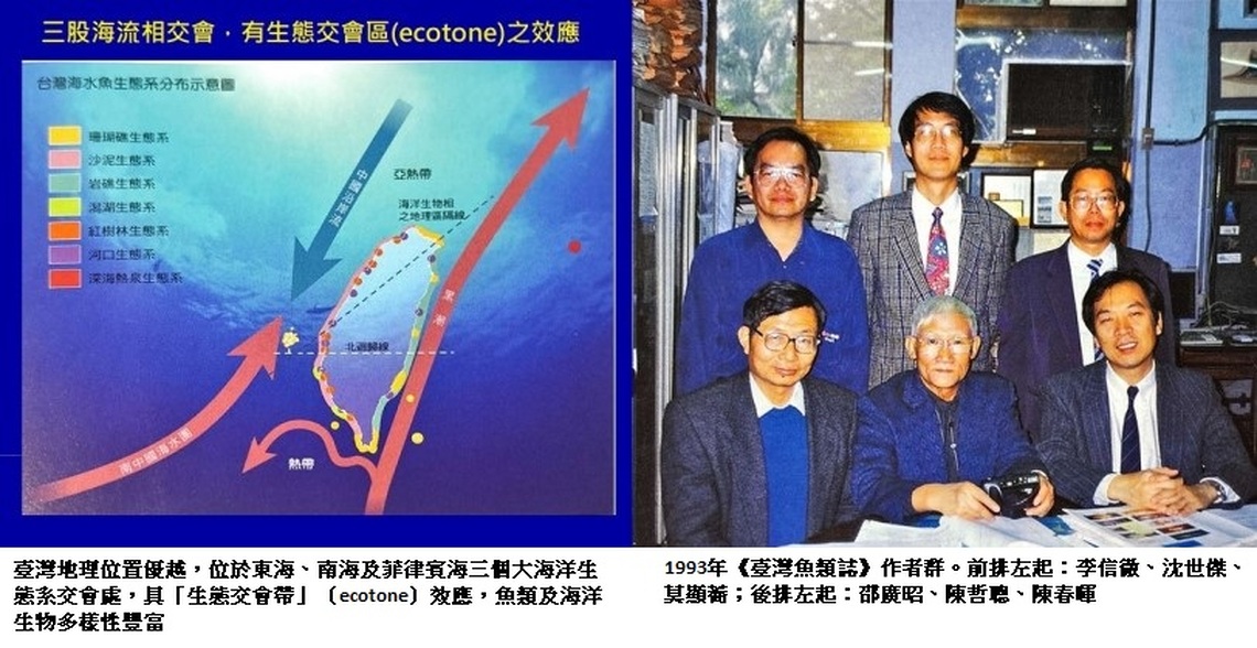 臺灣魚類學研究重要回顧 承先啟後、百年積累 打造臺灣與世界的連結