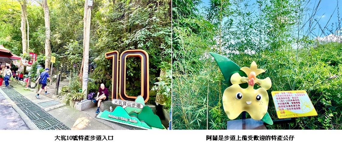 台中人最愛休閒活動之一!大坑10號特產步道好吃又好玩
