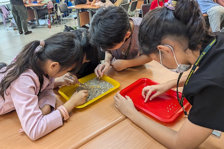 ▲學員在海科館透過活動認識並找出鯊魚和波口鱟頭鱝的牙齒。