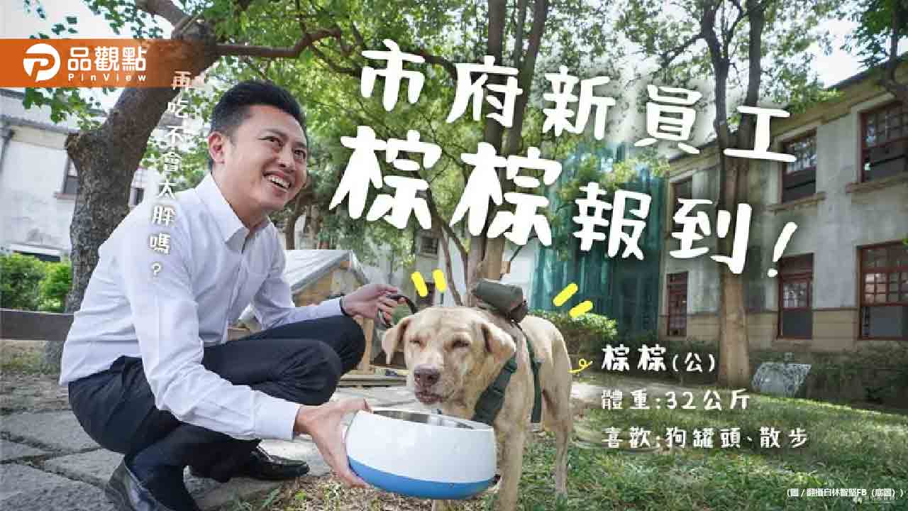 林智堅「府犬棕棕」遭爆被棄養!高虹安爆料:已經送回動保所