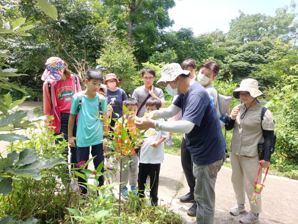 大坑蝶螢嘉年華「蝶」起國際友誼   吸引日本博士生親證台灣紫斑蝶魅力