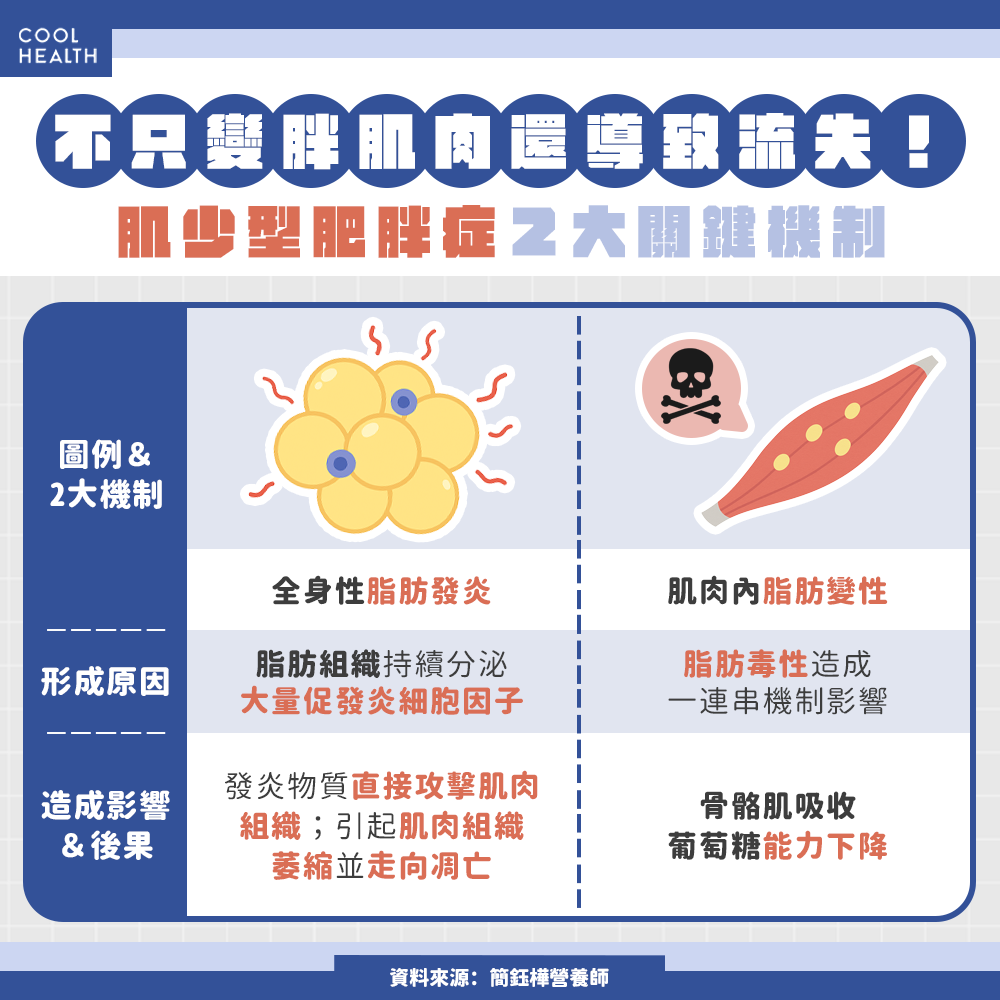 不只變胖肌肉還流失! 營養師揭「肌少型肥胖症」發生原因