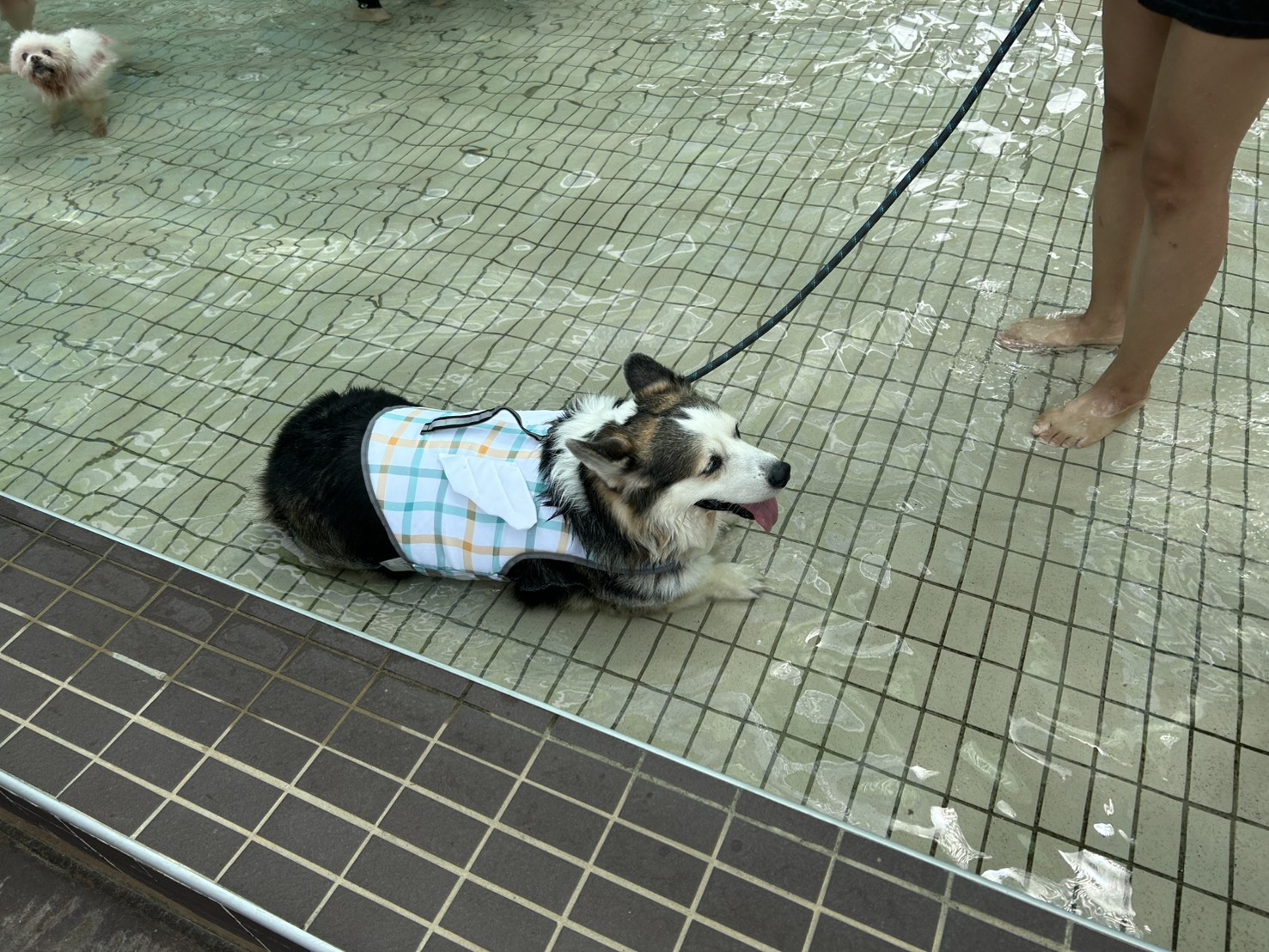 881172 0