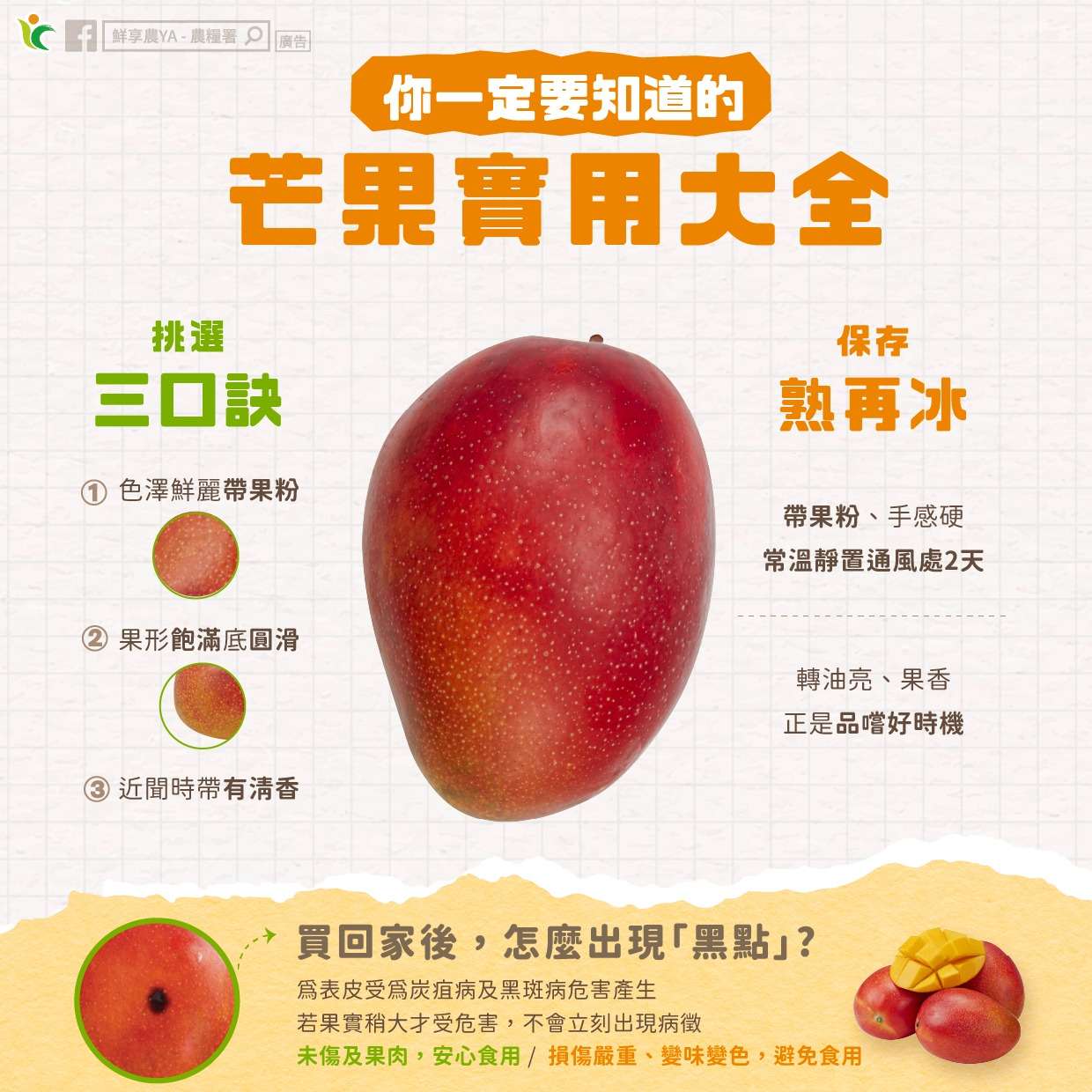 芒果怎麼挑不踩雷?3訣竅報你知 511751351 1040461801565783 1927927149065319416 n