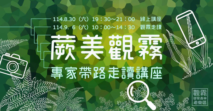 蕨美觀霧．走入霧林中最古老的綠色身影 
