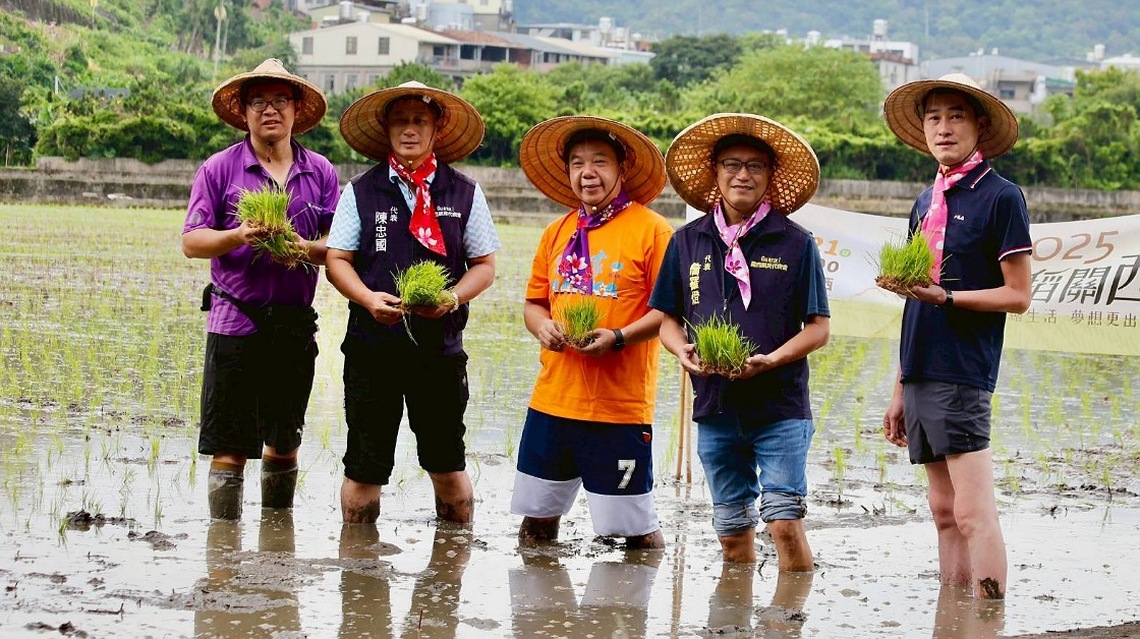 彩稻不是染的! 「2025攜手稻關西」插秧啟動 9月迎生活畫布