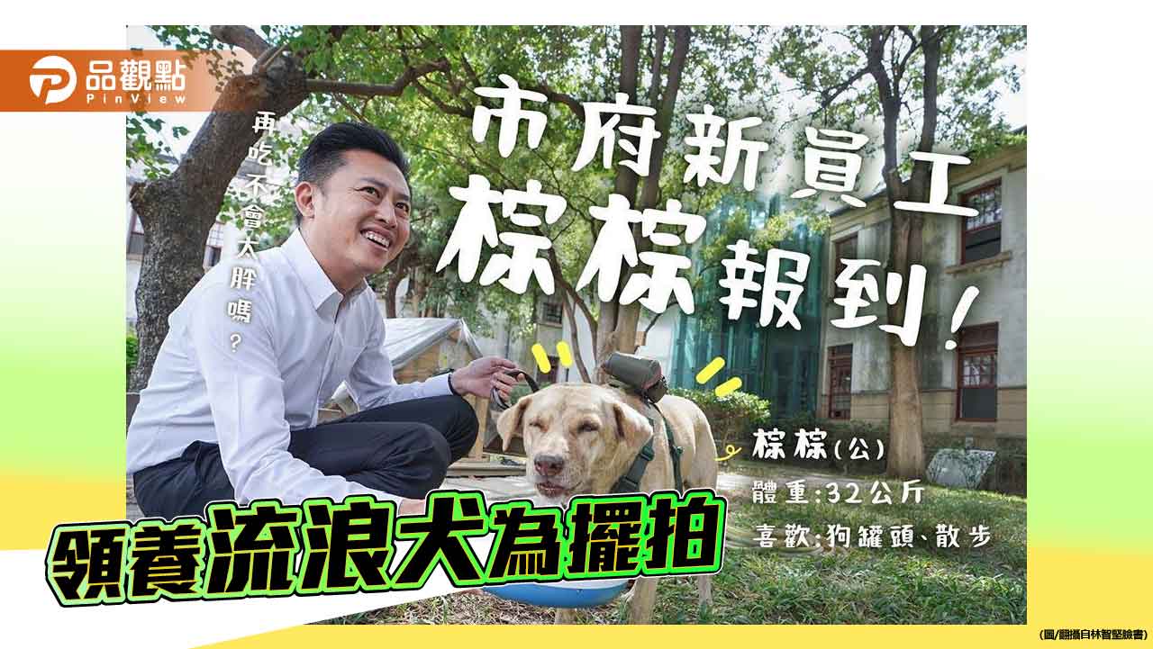 林智堅棄養市犬爭議 再次驗證施政只在乎擺拍