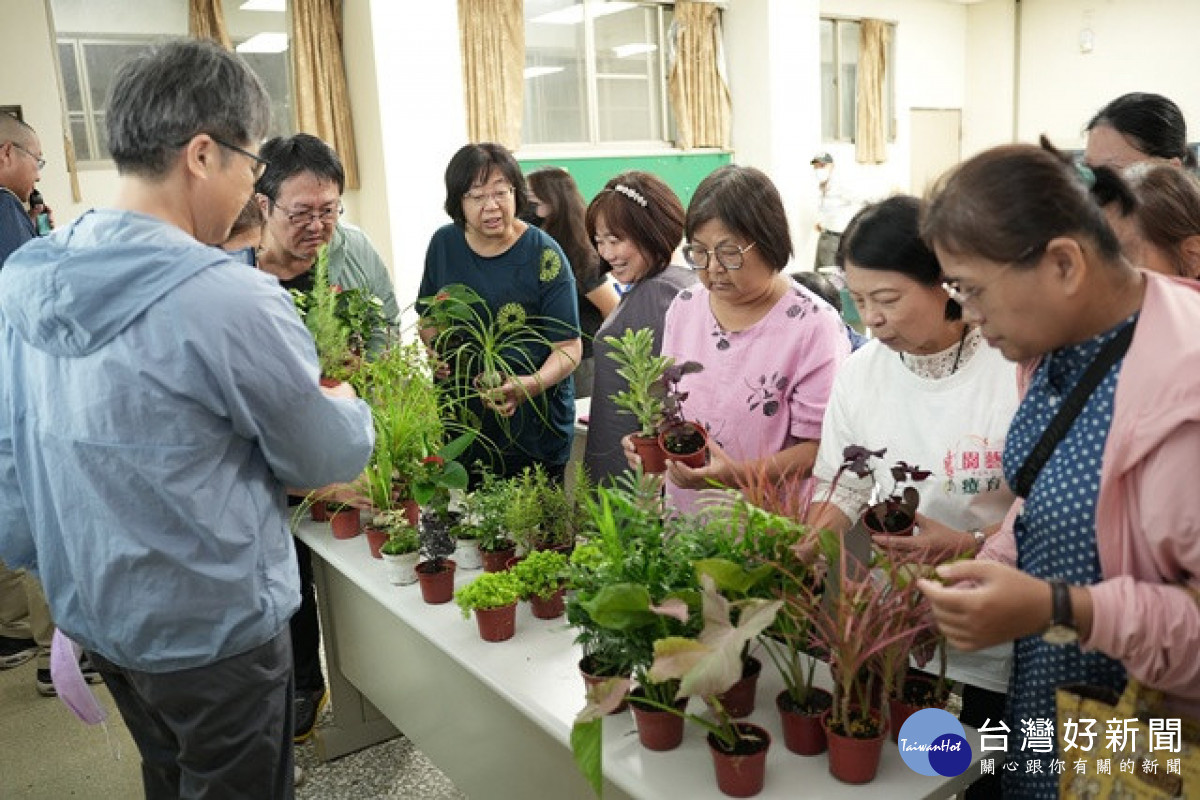 介紹陽台栽種植物。林重鎣