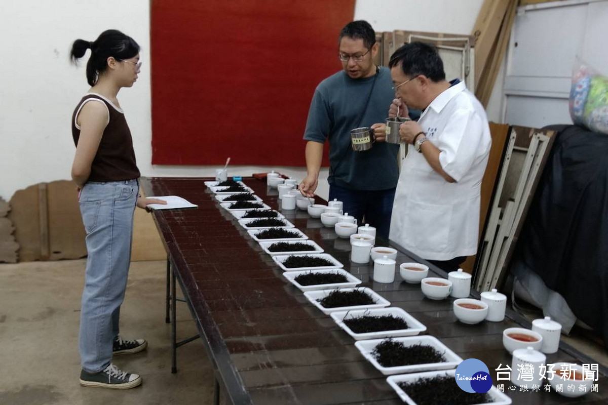 114年蘆峰紅茶製茶技術競賽經過專家2天的評選後成績揭曉。