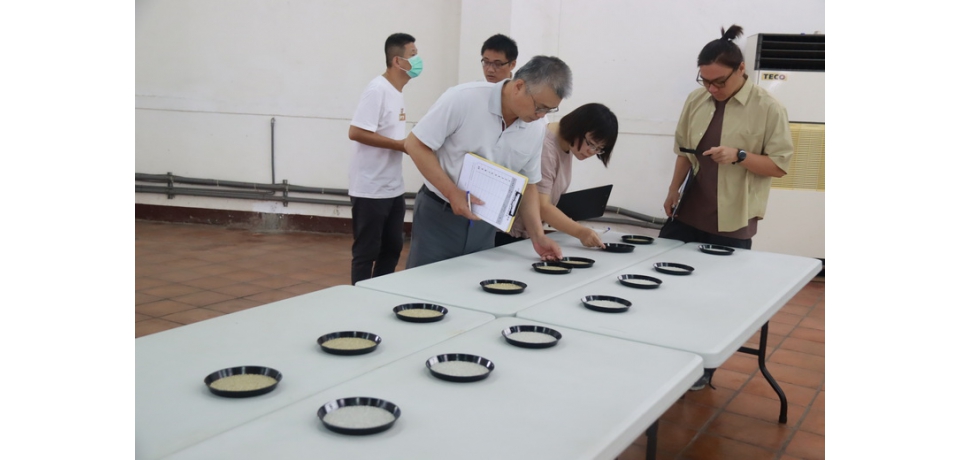 草屯114年稻米達人前進全國拚金牌 田間競技展實力行銷在地優質好米