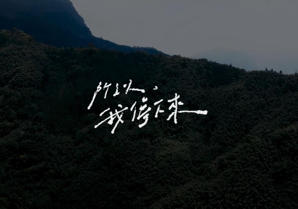 金視獎 以熱情鋪陳在地故事 企編獎彰顯創意與深度 2 圖片2