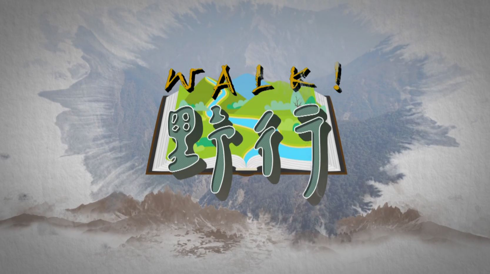 金視獎 以熱情鋪陳在地故事 企編獎彰顯創意與深度 5 圖片5