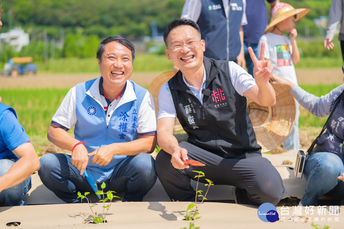 桃園市副市長蘇俊賓出席食農教育推廣活動,和與會來賓們一同體驗鋪設紙膜及種植仙草。<br /><br />