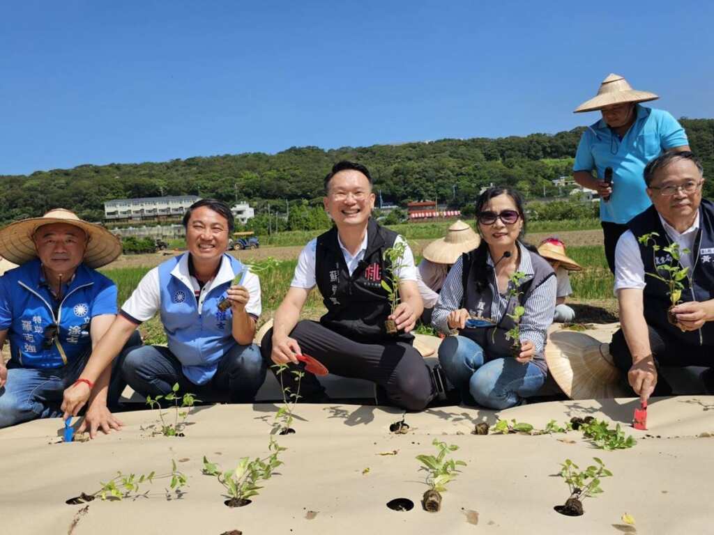 ▲桃園市副市長蘇俊賓和貴賓體驗鋪紙膜及種植仙草。