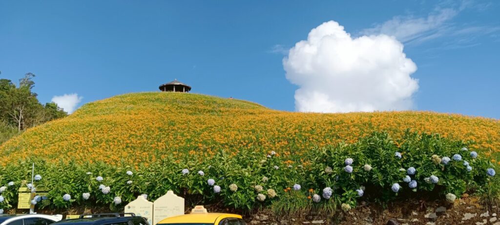 地表最萌花粉行者領軍!金針山福卡地愛玉親子DIY涼夏登場!(圖/業者提供)