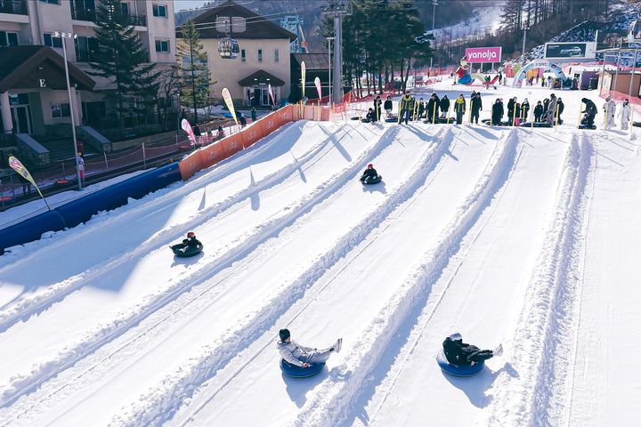 2025-26韓國江原道冬季滑雪祭登場!High1、龍平雙渡假村打造冬奧級滑雪體驗