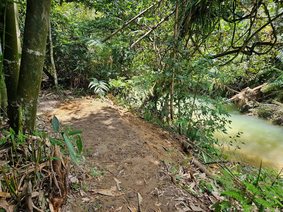 澀水森林步道為大雁休閒農業區近年推廣的生態體驗亮點，沿線林相豐富、生態多樣，是進行自然步道解說教育與保育的理想場域。（林保署南投分署提供）