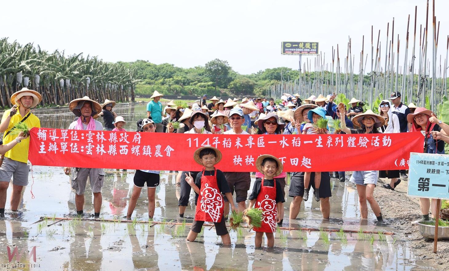 西螺親子插秧體驗熱鬧登場　張麗善盼傳承農業文化與惜食精神