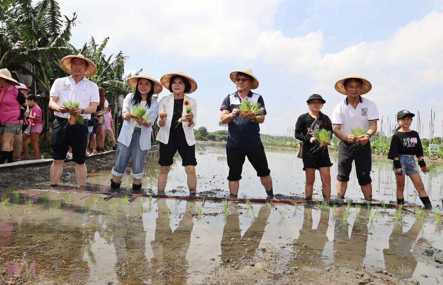 西螺親子插秧體驗熱鬧登場　張麗善盼傳承農業文化與惜食精神 - https://www.watchmedia01.com