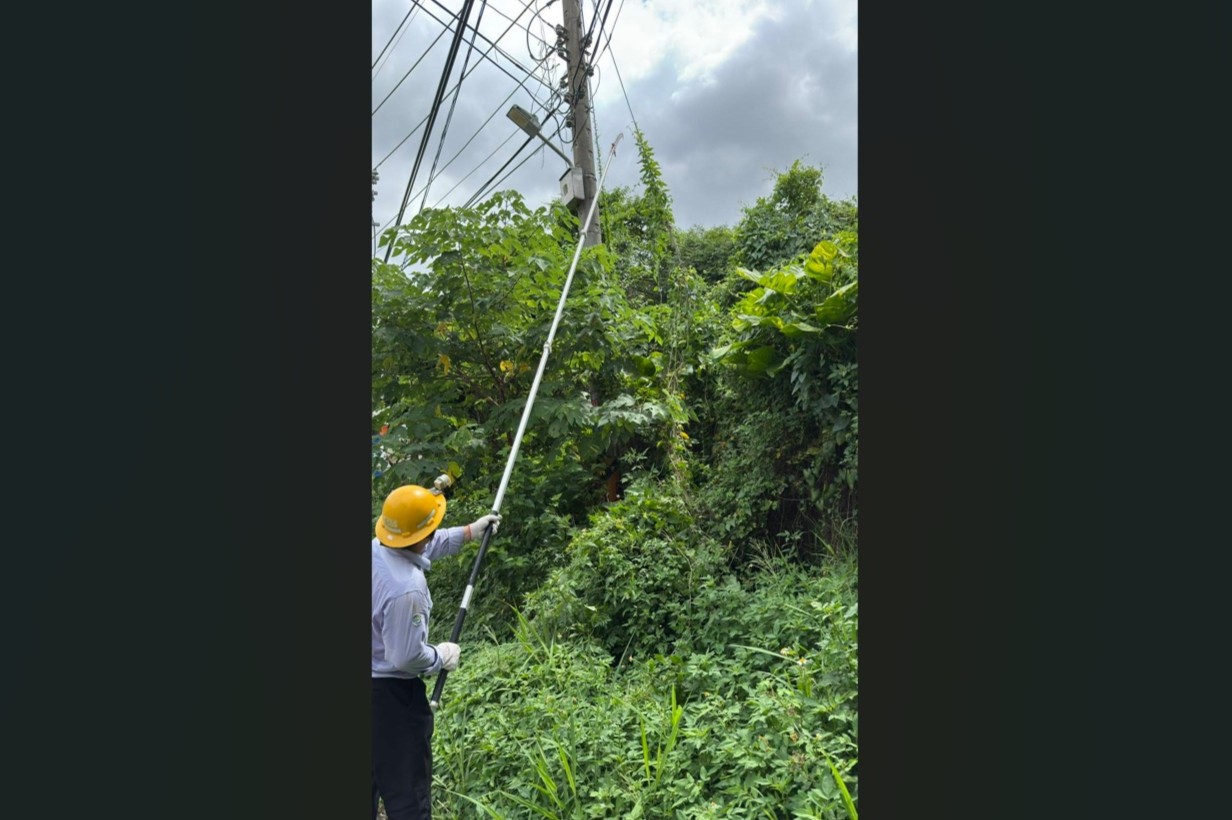 中颱楊柳來襲 台電全力防颱籲多網路通報查詢停復電 176 cnews204250812a01