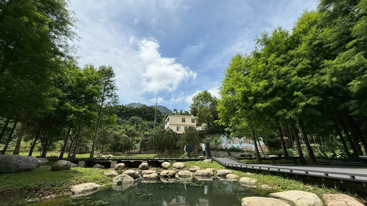 ▲蛙境公園融入生態友善及產業體驗等多元理念,改造成為無圍牆的永續生態戶外教室,獲得2025建築園冶獎肯定。