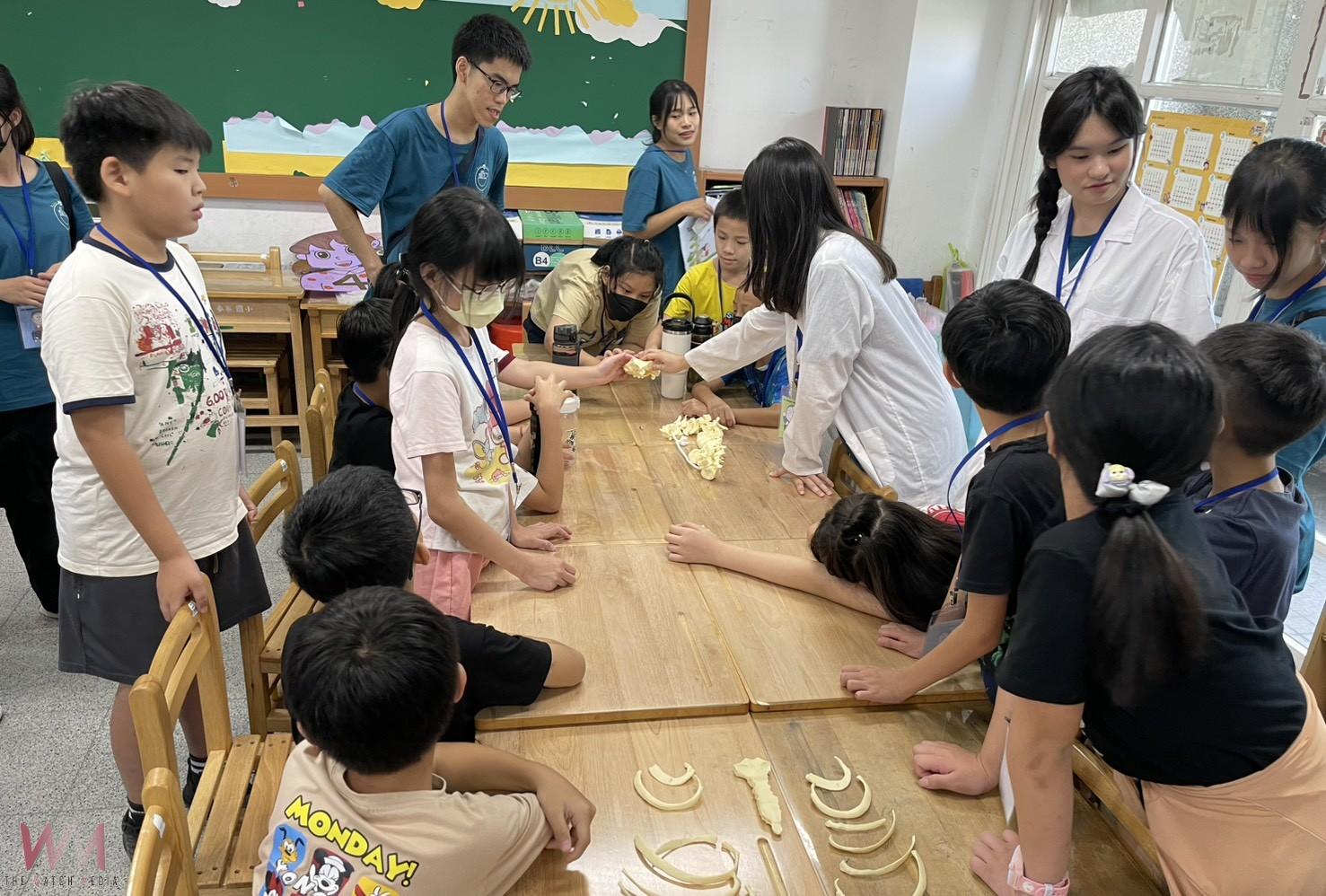 麥寮「馬偕小小醫學營」啟動 70童動手探索醫學奧秘 - https://www.watchmedia01.com