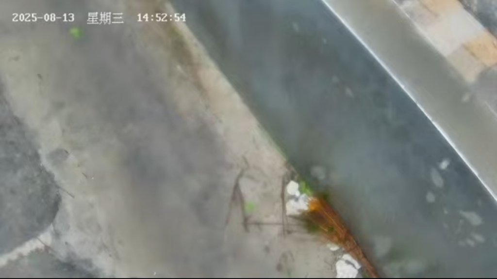 楊柳颱風風太強!-小琉球花瓶岩鏡頭君倒了!