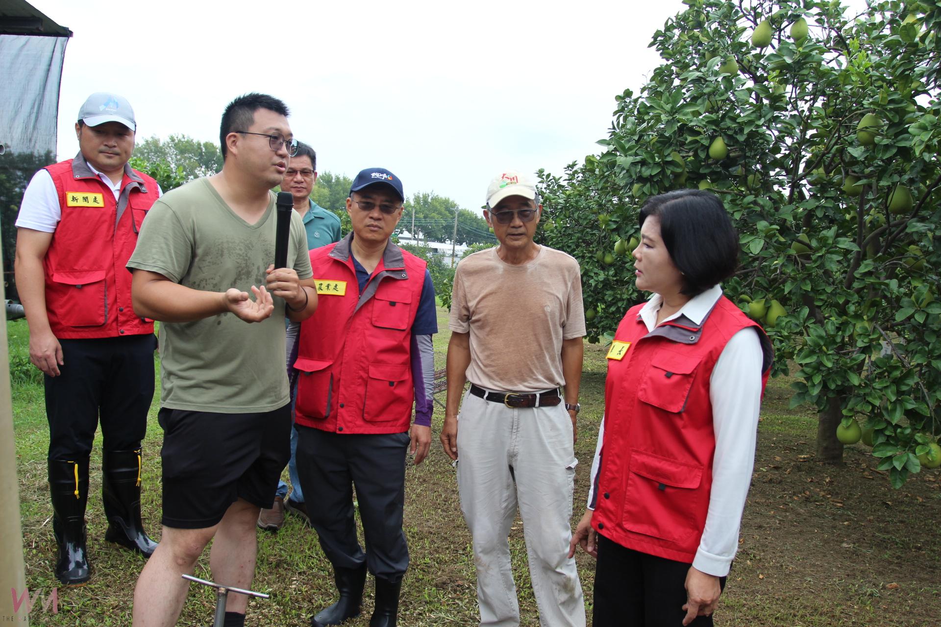 斗六文旦面臨楊柳撲襲考驗 縣長張麗善關心果園防颱 - https://www.watchmedia01.com
