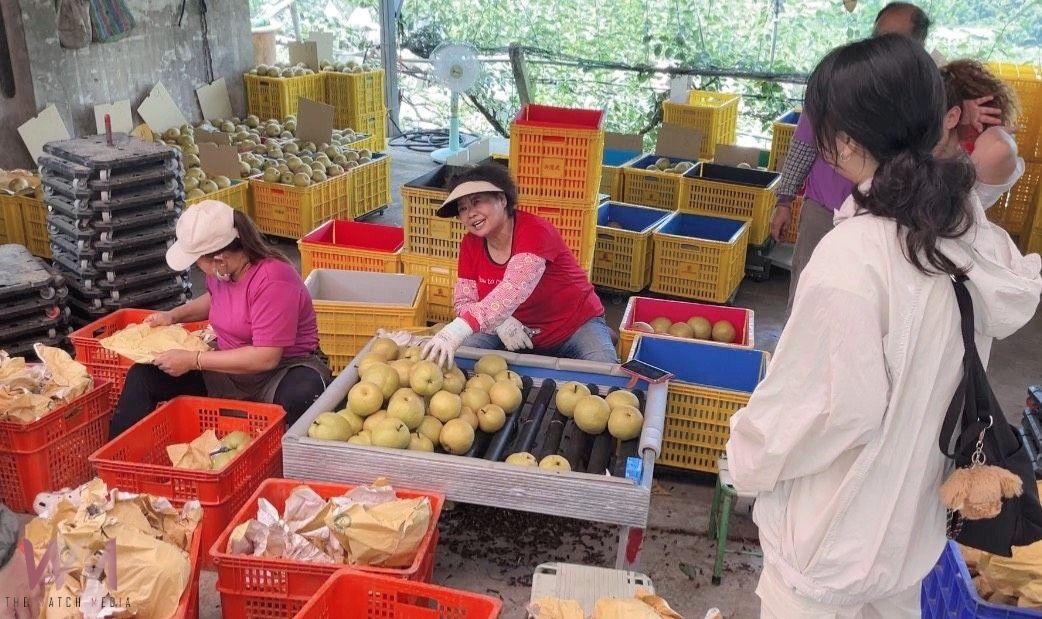 強化社區凝聚力　朝陽科大「戰鬥務農族」打造坪林創意理念、傳遞再生新價值 - https://www.watchmedia01.com