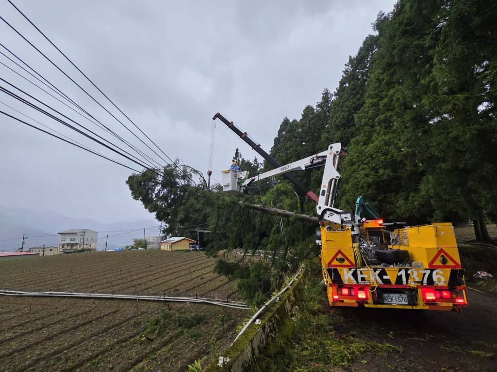 楊柳摧殘梨山地區!還有1469戶未復電-台電拚今日全復電完成