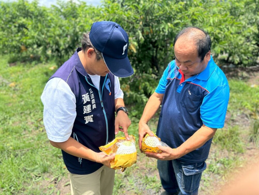 黃建賓親勘台東農損 爭取農業部現金救助免現勘 210 黃建賓親勘台東農損 爭取農業部現金救助免現勘 209