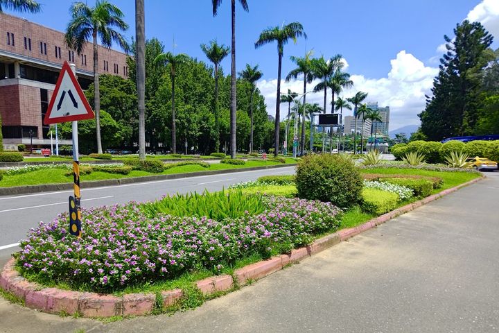 日日春好顏色 彩繪夏日台北街頭