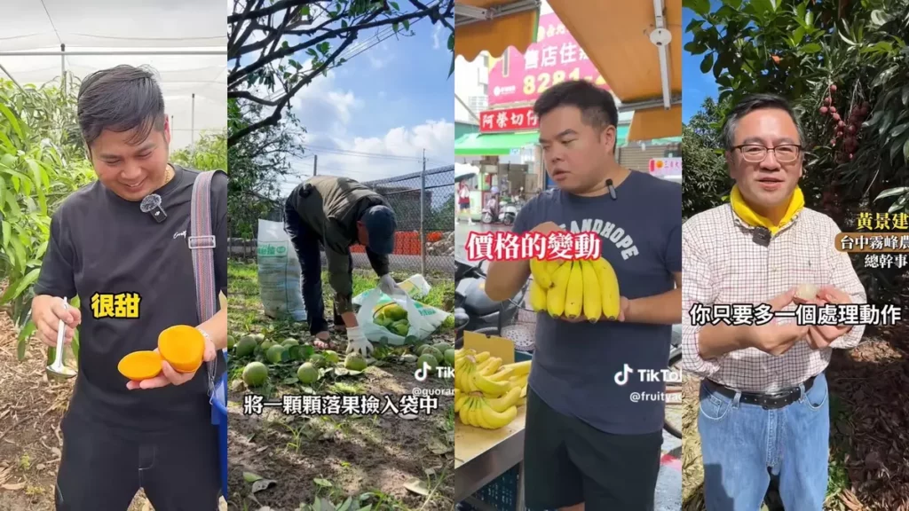 TikTok 上興起果農創作風潮,讓在地農產品推廣短影音,成為串連產地與消費