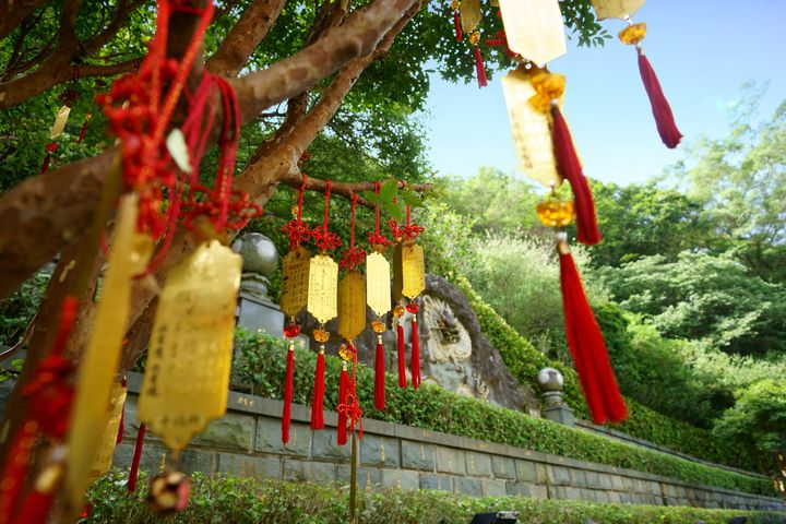茶香慢旅啟程!「貓空一日遊套票」新登場 限量買一送一別錯過