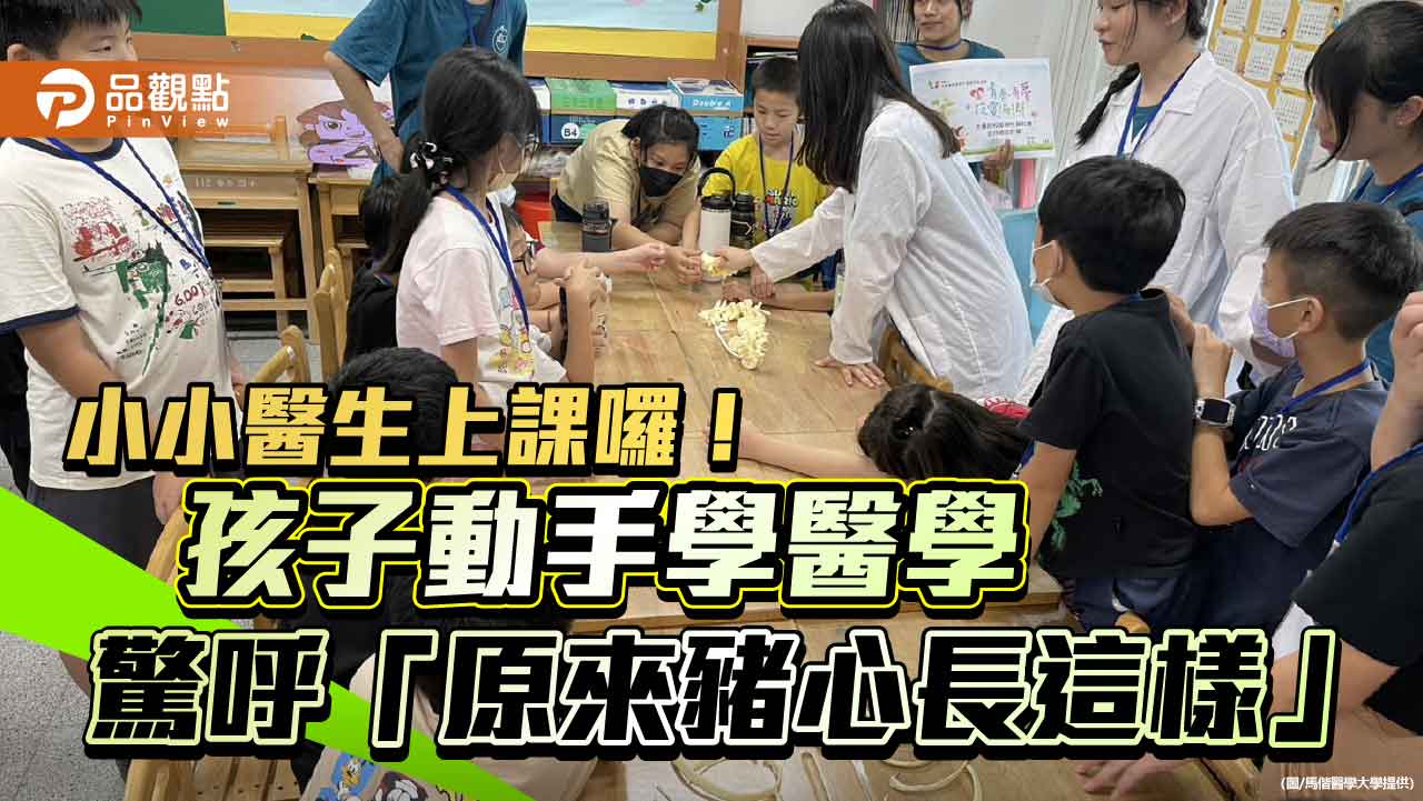 小小醫生上課囉!孩子動手學醫學 驚呼「原來豬心長這樣」