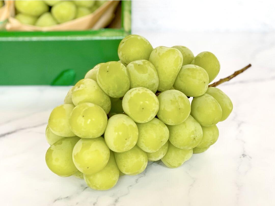 日本麝香葡萄原裝箱(圖/奧丁丁市集)