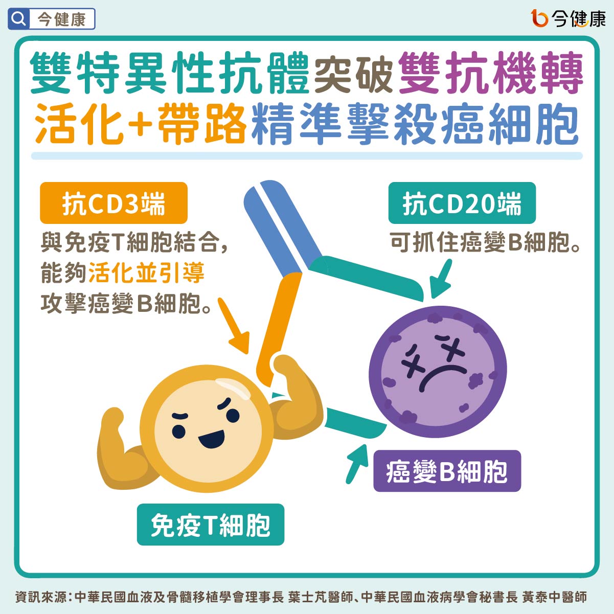 #雙特異性抗體 #瀰漫性大B細胞淋巴瘤 #淋巴瘤 #淋巴癌
