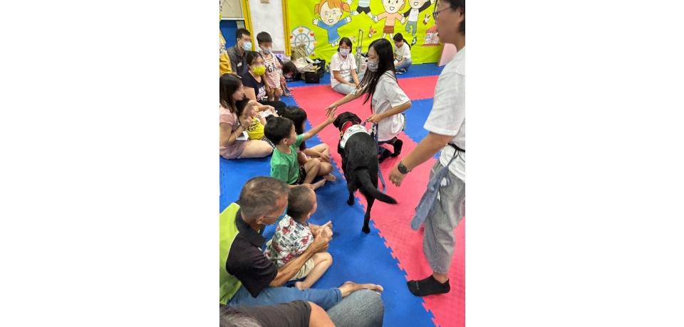 草屯療養院舉辦「與狗相癒、親子同遊」家屬座談會 陪伴犬助孩子療育成長