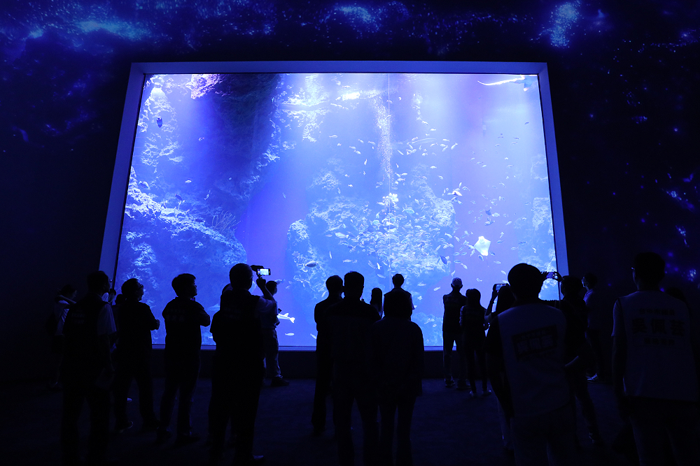 台中海洋館21日試營運 全台唯一親身踏入濕地展示空間 212 台中海洋館21日試營運 全台唯一親身踏入濕地展示空間 211