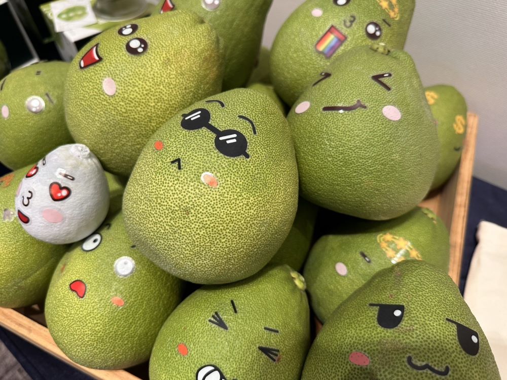 八里文旦限時預購雙重優惠 抽五星飯店自助餐 2 《圖說》農會於9月周末假日加碼推出4梯次食農教育體驗活動。〈農業局提供〉