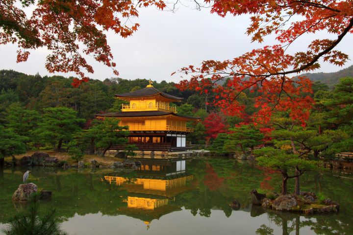 九月起大阪住宿稅調高,2025~2026玩這些日本縣市住宿變貴了!