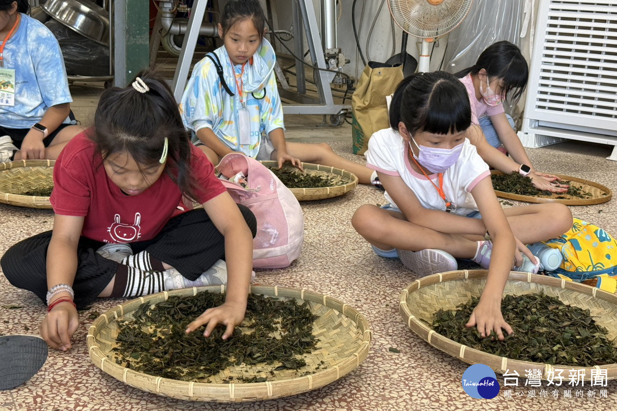桃園市政府農業局推動自然教育,舉辦「植感桃園夏令營」。<br /><br />