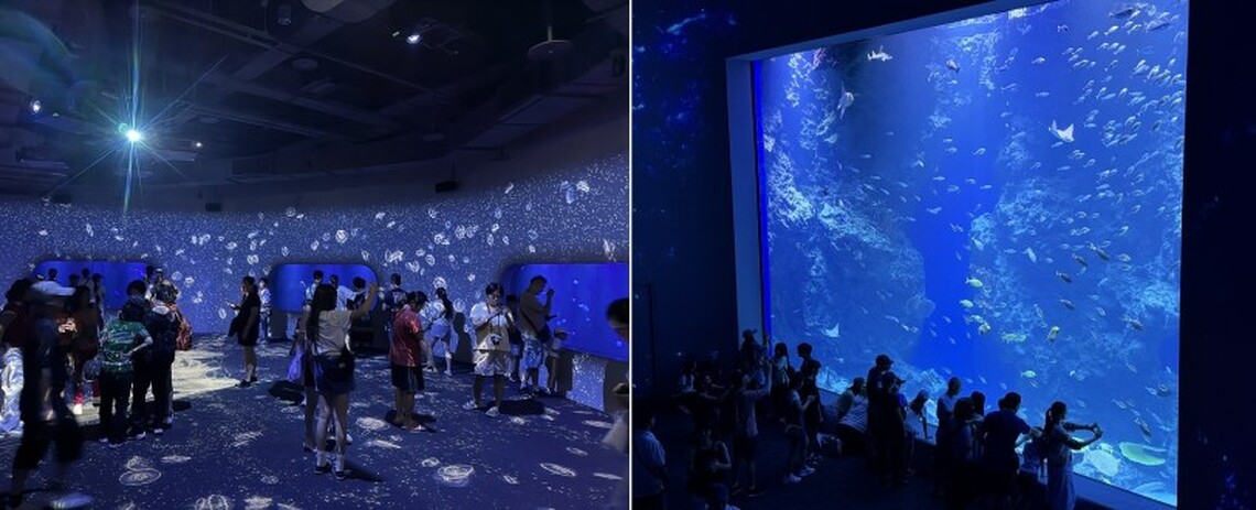 台中海洋館今日開館!民眾熱情湧入見證六大首創亮點
