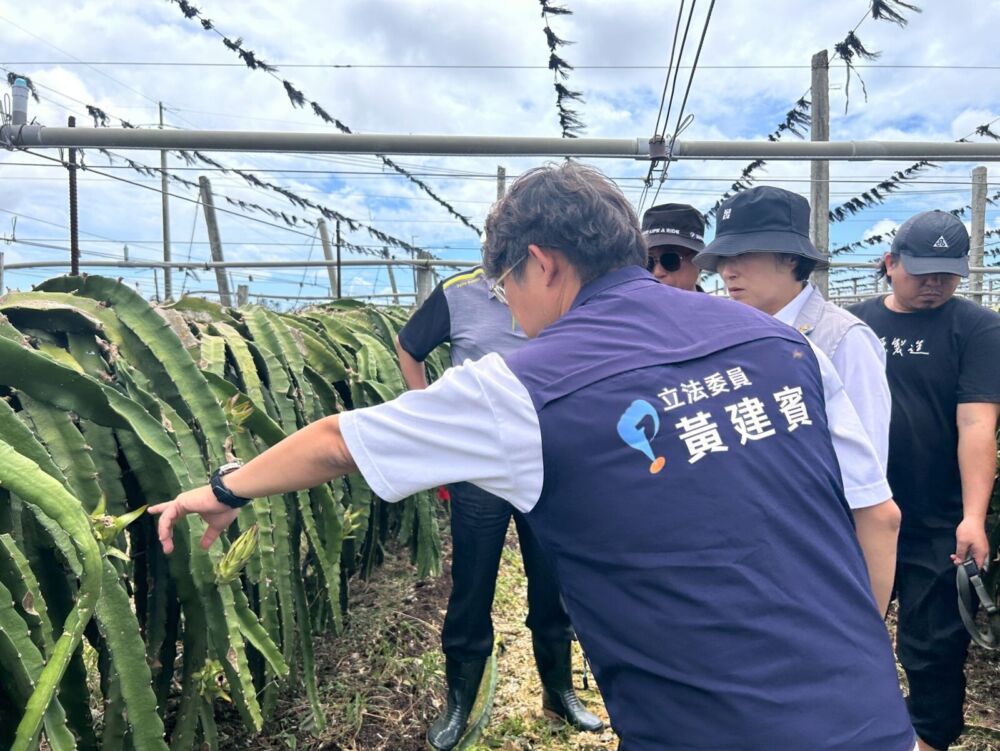 黃建賓爭取農業部災後專案補助　有機質肥料補助加碼最高3萬 229