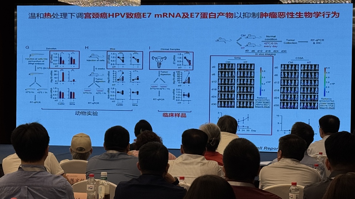 瀋陽第十屆「大陸任教臺灣教師融合發展主題研修」活動 兼慶祝兩岸抗日勝利80週年