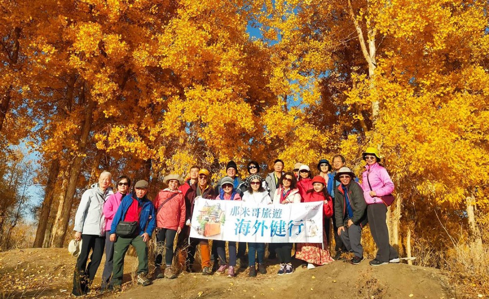 登山健走旅遊之巔!那米哥旅行社以無購物健走,打造健康、優質旅遊體驗 2 ▲一生必走-絲綢之路,金秋胡楊南疆沙漠健走。(圖/那米哥旅行社提供)