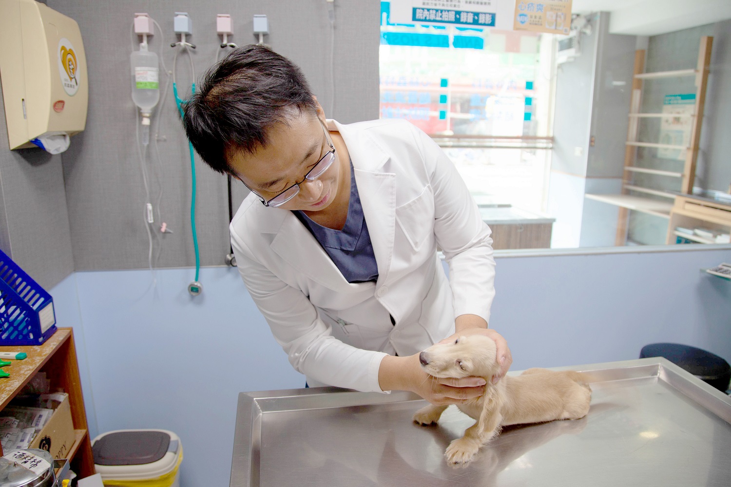 貼心好消息!DUDUPAY攜手中圓寵物家族 給毛孩最完整的守護 - https://www.watchmedia01.com