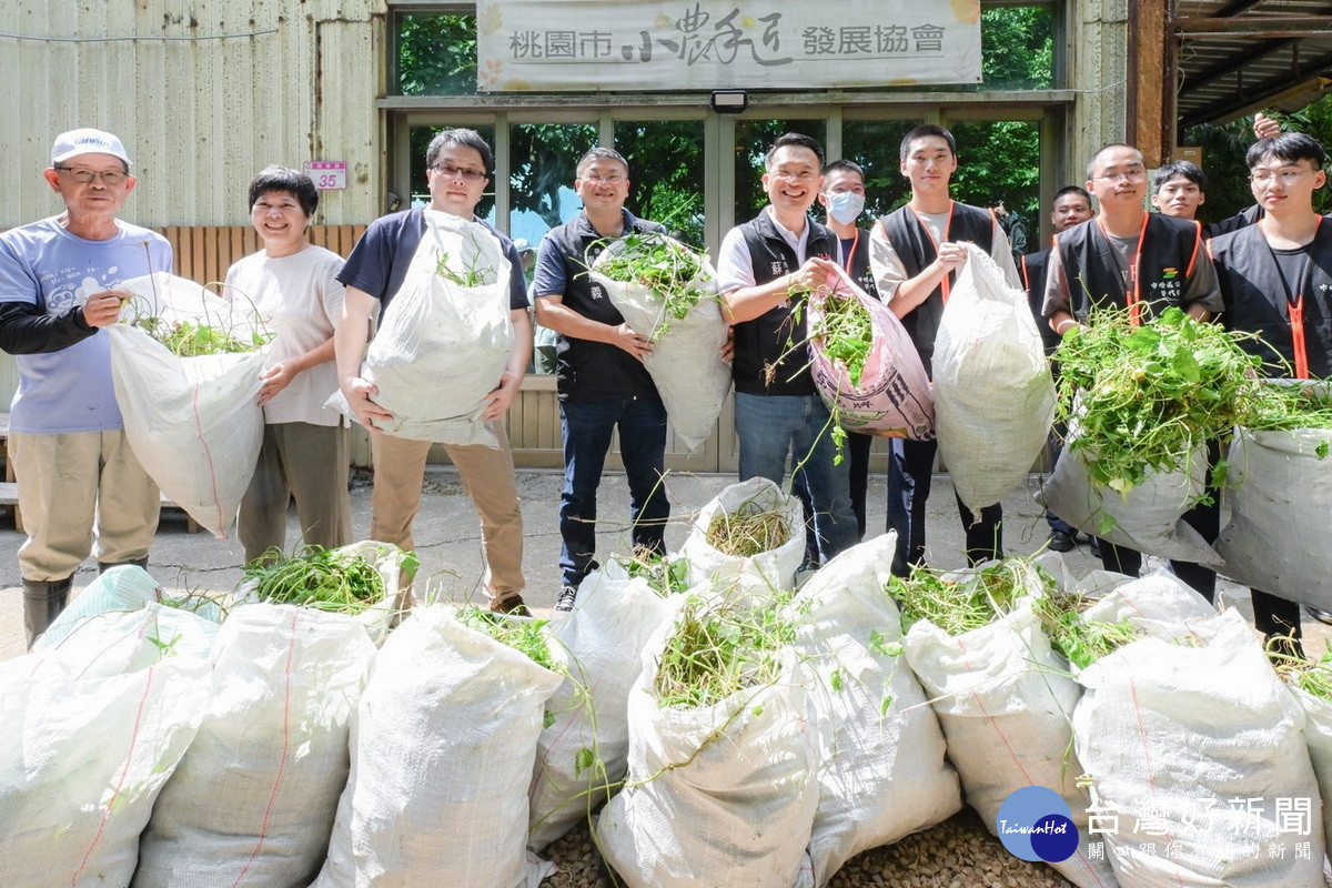 桃園市副市長蘇俊賓與大家一起除蔓,共清出十多袋藤蔓約180公斤。<br /><br />