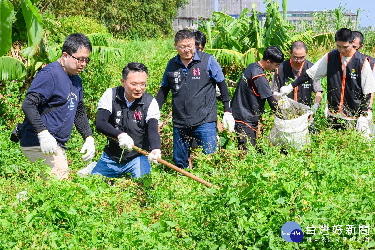 桃園市副市長蘇俊賓出席「小花蔓澤蘭外來種清除宣導活動」與大家一起手除蔓。<br /><br />